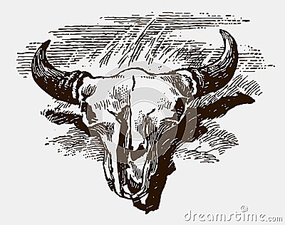 American buffalo skull lying on the ground Vector Illustration
