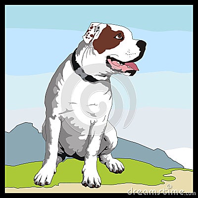 American bulldog Vector Illustration