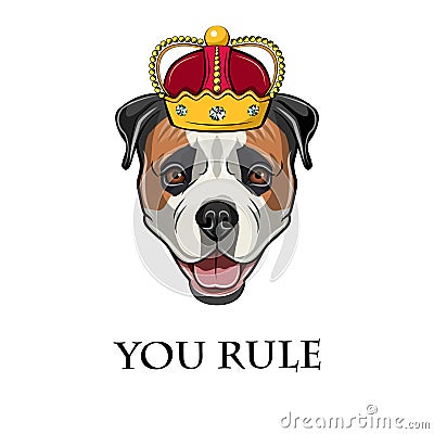 American Bulldog. Crown. Dog king. You rule lettering. Dog portrait. Vector. Vector Illustration