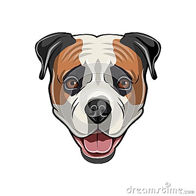 American Bulldog head. Dog portrait. Cute American Bulldog. Dog face. Vector. Vector Illustration