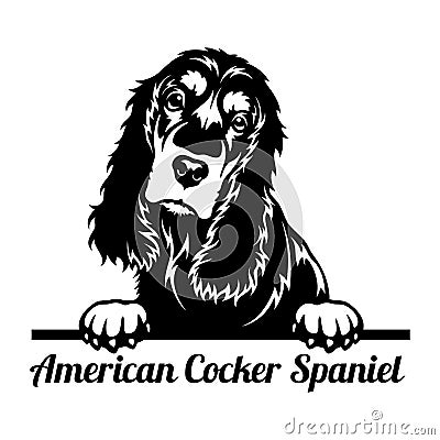 American Cocker Spaniel Peeking Dog - head isolated on white Vector Illustration