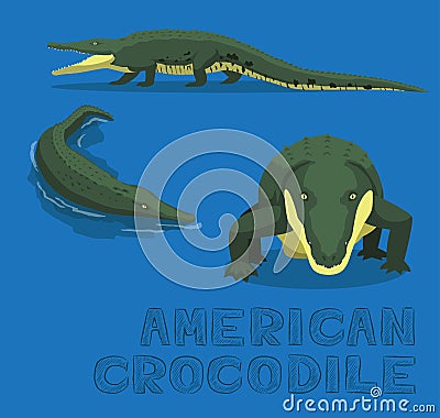 American Crocodile Cartoon Vector Illustration Vector Illustration