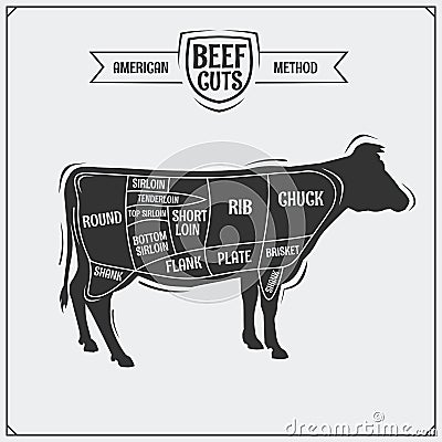 American cuts of beef. Vector illustration. Vector Illustration