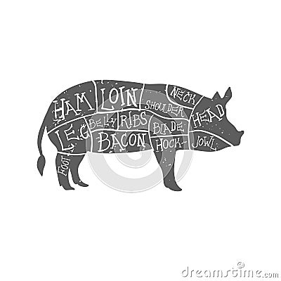 American cuts of pork, vintage typographic hand-drawn butcher cuts scheme. Grunge on separate layer Vector Illustration