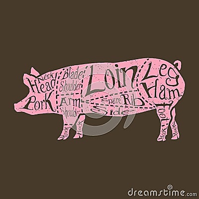 American cuts of pork Vector Illustration