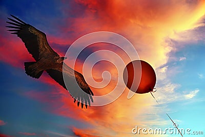Freedom. American eagle flight in the beautiful colorful sunrise sky. Red helium balloon flies up. Stock Photo