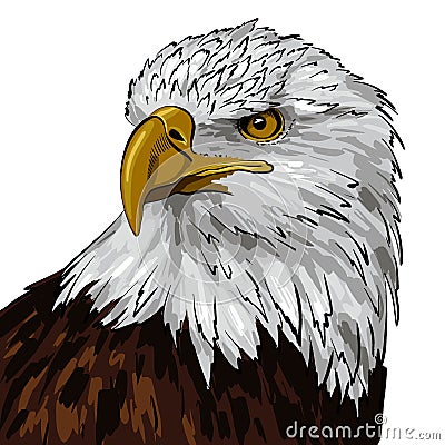 american eagle line colourful sketch Cartoon Illustration