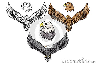 American eagle set. Bald eagle logo. Wild birds drawing. Head of an eagle. Vector Illustration