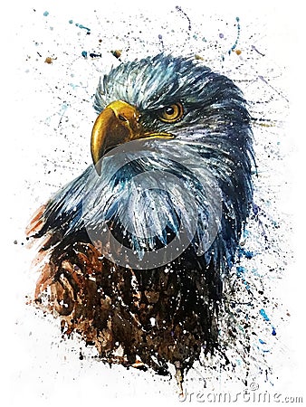 American Eagle watercolor predator wildlife painting Stock Photo