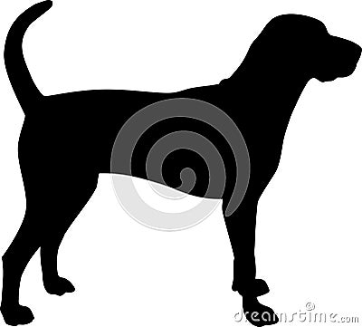 American English Coonhound silhouette black Vector Illustration