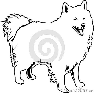 American eskimo black and white Vector Illustration