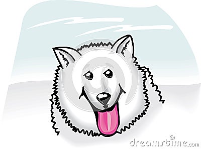 American eskimo cartoon Vector Illustration