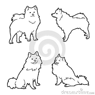 American Eskimo Dog Animal Vector Illustration Hand Drawn Cartoon Art Vector Illustration