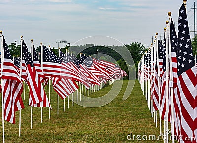 American Field of Flags on Memorial Day Stock Photo