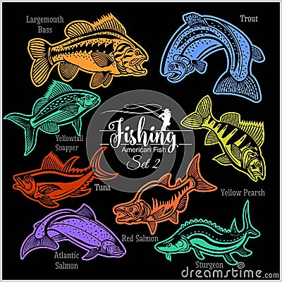 American Fish - vector set 2 for creative design, t-shirt, badge and logo. Isolated on black. Vector Illustration