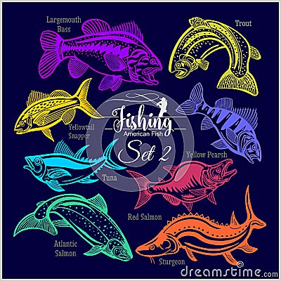 American Fish - vector set 2 for creative design, t-shirt, badge and logo. Isolated on blue. Vector Illustration