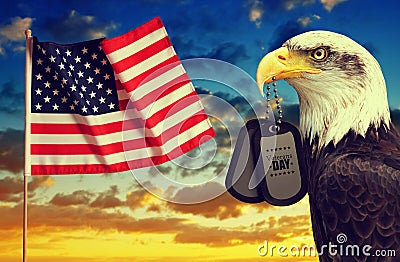 American flag and Bald Eagle holds a dog tags in his beak at sunset. Stock Photo