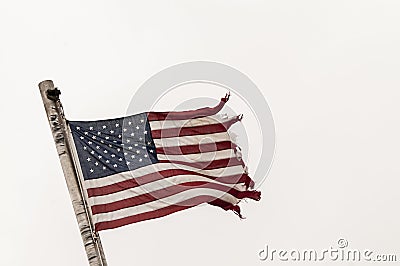 American Flag in disgraceful-condition,tattered,torn, Stock Photo