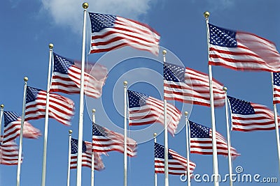 American Flags Stock Photo