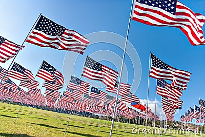 American flags displaying on Memorial Day Stock Photo