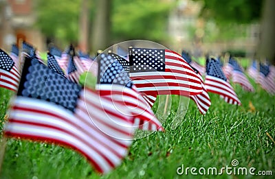 American Flags Stock Photo