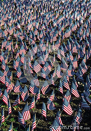 American Flags in Honor of Our Veterans Stock Photo