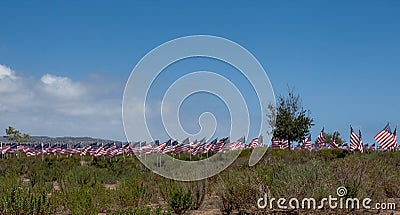 American flags. Memorial Day, Independence Day and Veterans Day Stock Photo