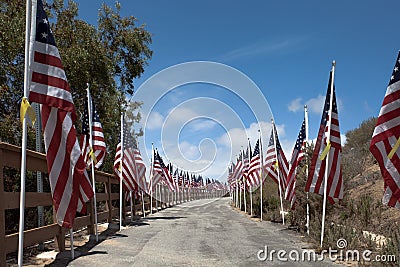 American flags. Memorial Day, Independence Day and Veterans Day Stock Photo