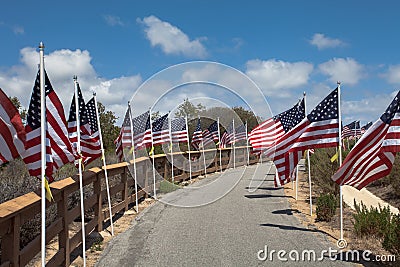 American flags. Memorial Day, Independence Day and Veterans Day Stock Photo