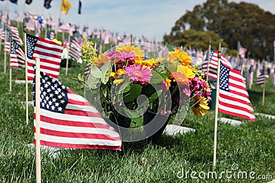 American Flags at National Cemetery Stock Photo