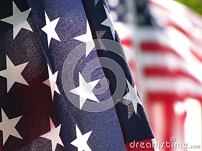 American flags Stock Photo