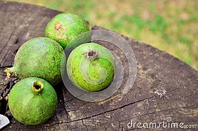 Various green fruits of the American Genipa on the tree trunk table Stock Photo