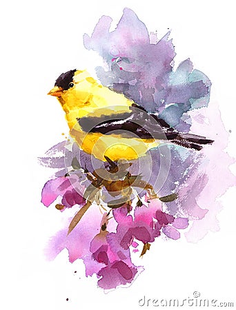 American Goldfinch Bird on the branch with flowers Watercolor Fall Illustration Hand Painted Cartoon Illustration