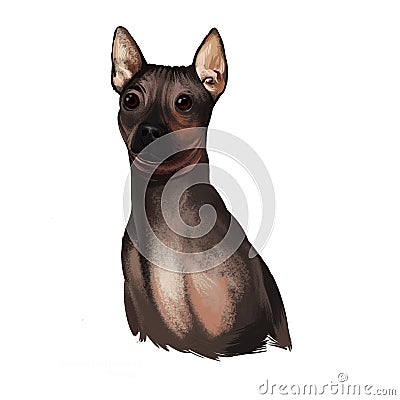 American Hairless Terrier AHT dog digital art illustration isolated on white background. Rare breed of dog variant of Cartoon Illustration