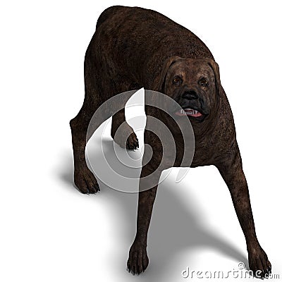 American Mastiff Dog. 3D rendering with clipping Stock Photo