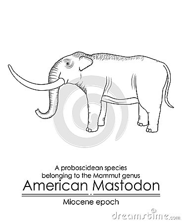 American Mastodon Vector Illustration