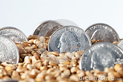 agricultural activity needs monetary investment Stock Photo