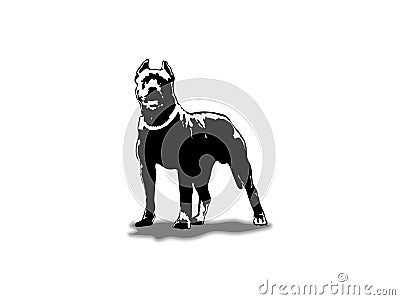 American Pit Bull Pitbull Bully Staffordshire Terrier Pit Bull Dog Pitbull Dog Black Logo Vector Cricut Cut Cutting Vector Illustration