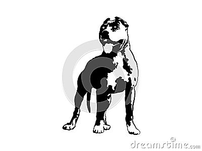 American Pit Bull Pitbull Bully Staffordshire Terrier Pit Bull Dog Pitbull Dog Black Logo Vector Cricut Cut Cutting Vector Illustration