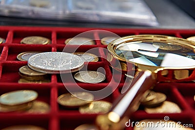 American silver dollar and magnifying glass Stock Photo
