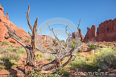 American Southwest Desert Landscape Red Sandstone Stock Photo