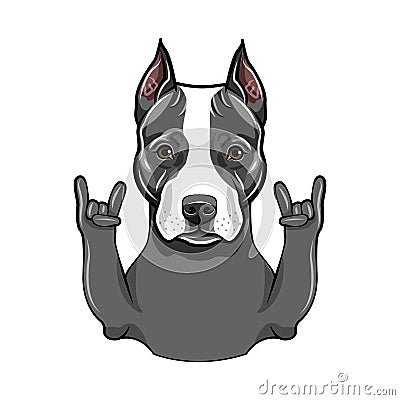 American Staffordshire Terrier. Rock gesture, Horns. Dog portrait. Staffordshire Terrier breed. Vector. Vector Illustration