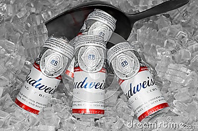 American-style Budweiser Beer Bottles Produced by Anheuser-Busch Is a product imported in a convenient store Editorial Stock Photo