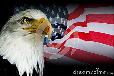 American symbol - USA flag with eagle Stock Photo