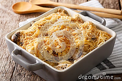 American tetrazzini with spaghetti, mushrooms, cheese, chicken c Stock Photo