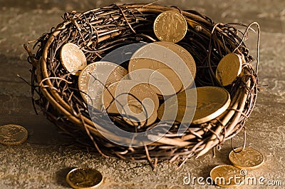 American US Eagle Gold Coin Nest Egg Stock Photo