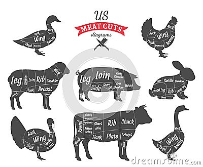 American (US) Meat Cuts Diagrams Vector Illustration