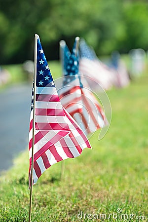 American veteran flags in the cemetery Stock Photo