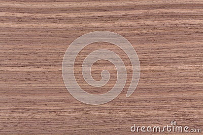 American walnut wood texture, natural wooden backghound. Stock Photo