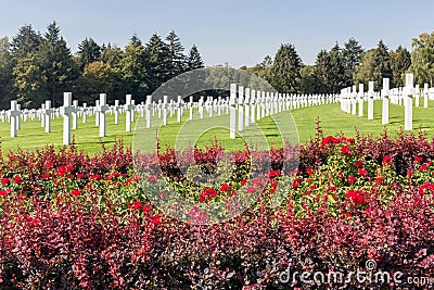 American WW2 Cemetery with rose bush and headstones in Luxembourg Stock Photo